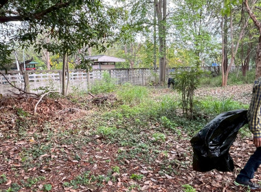 กิจกรรม “บ้านเมืองสะอาด บูชาคุณย่าโม” พารามิเตอร์รูปภาพ 27